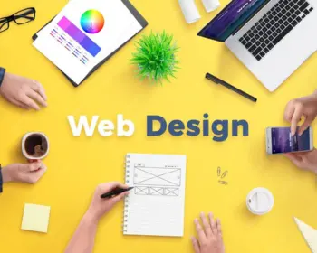 what-are-the-basics-of-website-design